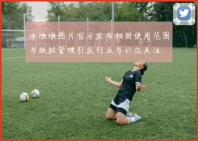冰墩墩图片官方发布相册使用范围与版权管理引发行业与公众关注