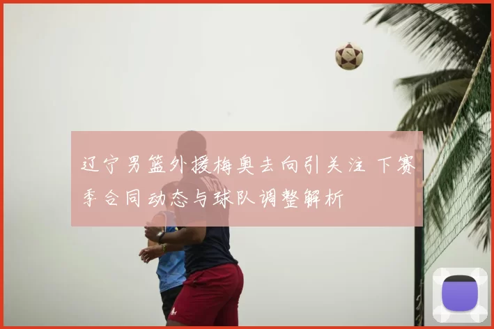 辽宁男篮外援梅奥去向引关注 下赛季合同动态与球队调整解析