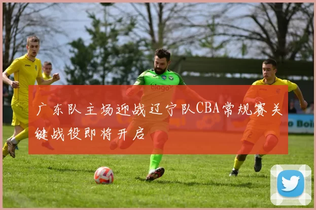 广东队主场迎战辽宁队CBA常规赛关键战役即将开启