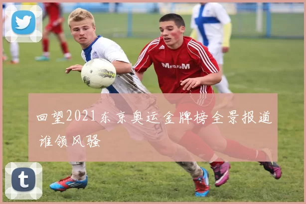 回望2021东京奥运金牌榜全景报道 谁领风骚