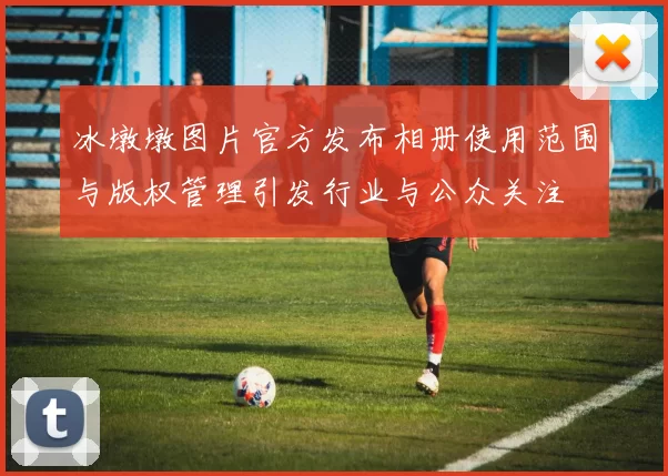 冰墩墩图片官方发布相册使用范围与版权管理引发行业与公众关注