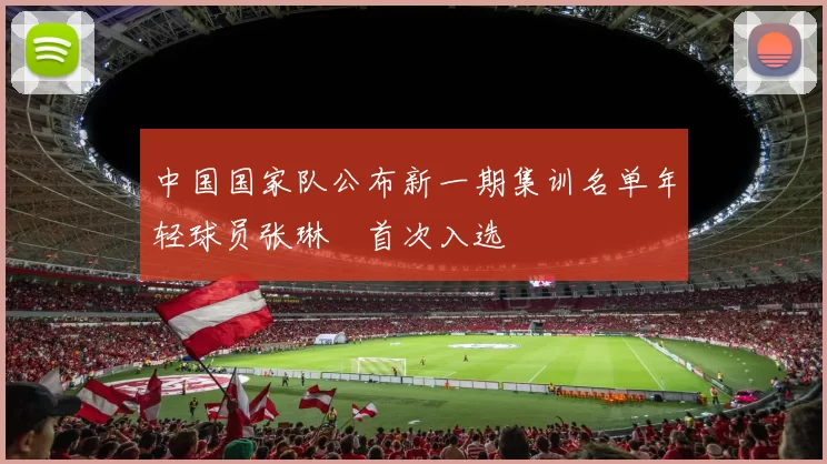 中国国家队公布新一期集训名单年轻球员张琳芃首次入选