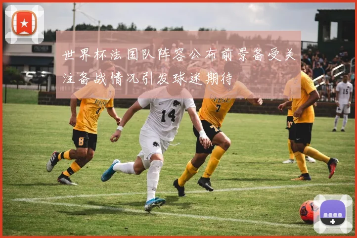世界杯法国队阵容公布前景备受关注备战情况引发球迷期待