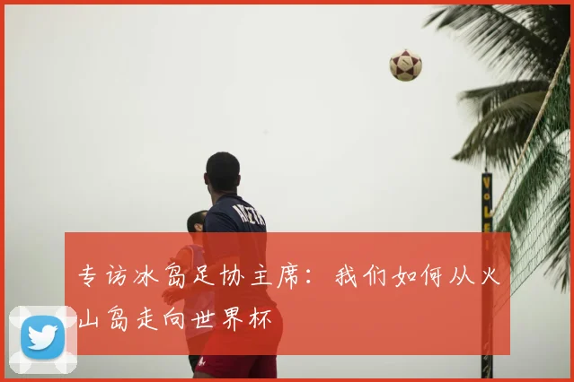 专访冰岛足协主席:我们如何从火山岛走向世界杯